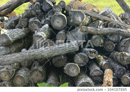Heap of the fire wood 104107895
