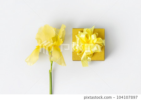 Yellow gift box with a satin ribbon bow and iris flowers. Greeting card for mother's day, Valentine's Day, birthday. 104107897