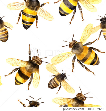 Bee pattern watercolor in paper art style on white background. Botanical seamless pattern. Summer nature decoration. 104107929