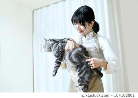 修剪女用剪刀修剪貓的外套 修剪女用剪刀修剪貓的外套 104108001