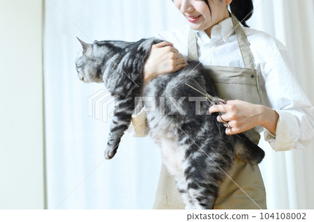 修剪女用剪刀修剪貓的外套 修剪女用剪刀修剪貓的外套 104108002