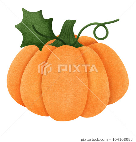 Cute orange pumpkin 104108093