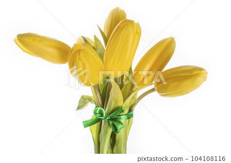 Yellow tulips 7 pieces on white background isolate Yellow tulips 7 pieces on white background isolate 104108116