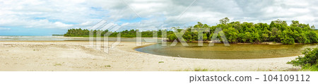 Winding river through forest and mangroves towards the sea 104109112