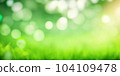 Fresh green background with abstract blurred grass, bright summer sunlight and bokeh lights. Spring or summer healthy nature bio backdrop 104109478