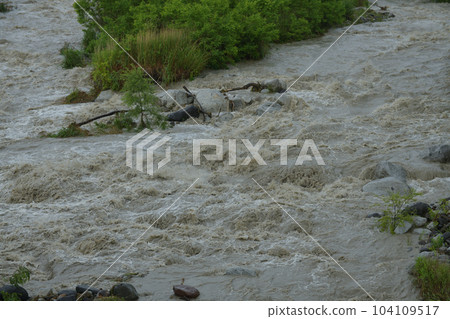 Kamanashi River swollen by heavy rain in Hakushu Town, Hokuto City 104109517