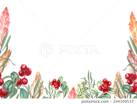 Bright red cranberries and imprints of autumn colorful leaves of different trees. Illustration isolated on white background. Horizontal watercolor frame with copy space for text 104109537