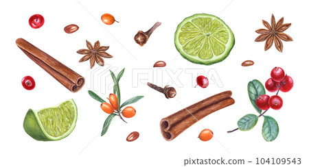 Watercolor set of cinnamons, star anise, lime slices, cowberry, sea buckthorn, cloves isolated on white background. Illustration for Christmas and New Year cards, greetings, stickers, spice shops Watercolor set of cinnamons, star anise, lime slices, cowberry, sea buckthorn, cloves isolated on white background. Illustration for Christmas and New Year cards, greetings, stickers, spice shops 104109543