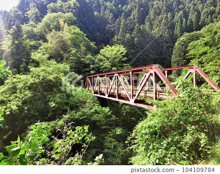 2023 Fresh green Kokumichi Bridge Route 418 1 2023 Fresh green Kokumichi Bridge Route 418 1 104109784