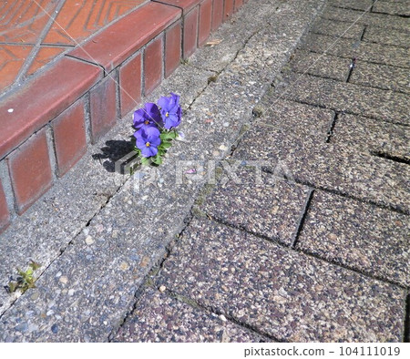 出色地？奧盤 104111019