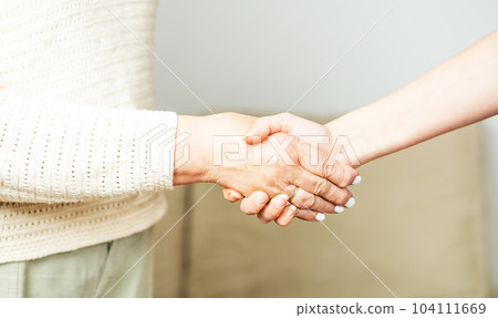 Doctor or nurse shaking hands with a senior woman at home. 104111669