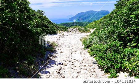 新島石山徒步路線 新島石山徒步路線 104111834