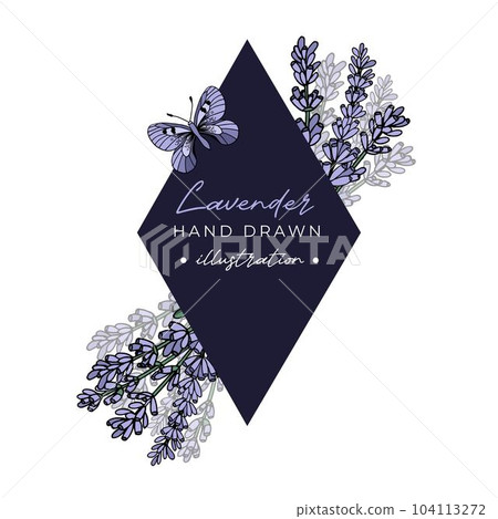 Stylish minimalistic modern label with lavender and butterfly . Aromatherapy series. Great for traditional medicine, perfume design, cooking or gardening labels. 104113272