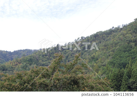Camping scenery Camping scenery [Kyoto Prefecture] 104113656