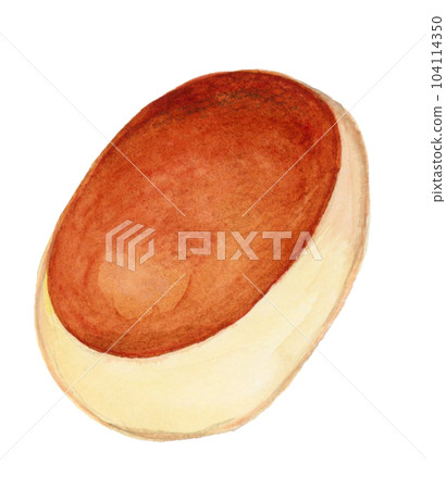 手繪水彩美味栗子包插畫 104114350