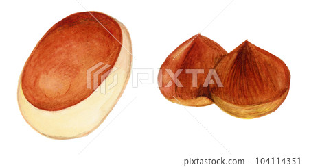 Hand drawn watercolor chestnut manju and chestnut set illustration Hand drawn watercolor chestnut manju and chestnut set illustration 104114351