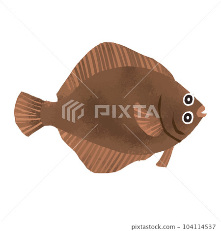 Flatfish watercolor illustration 104114537