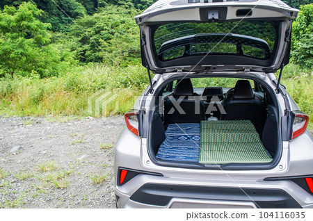 Sleeping in the car in nature 104116035