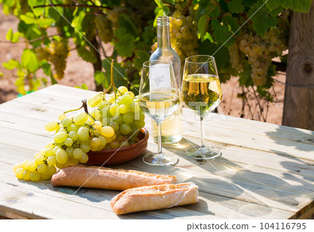 Still life with wine, grapes and bread at table in vineyards 104116795