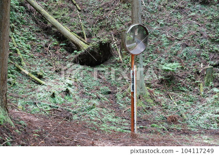 Curve mirror in unexplored region 104117249