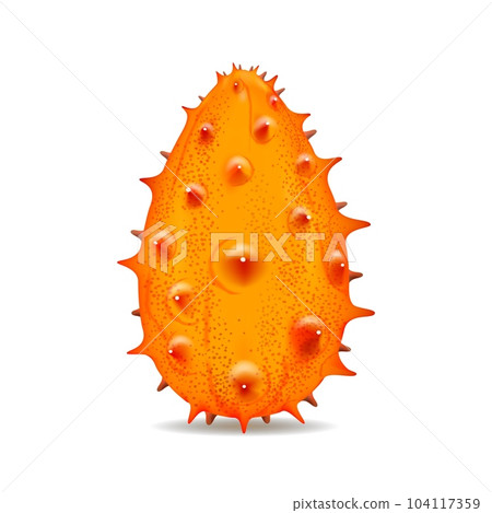 Horned melon fruit realistic 104117359