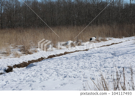 Dandoral起重機 Dandoral起重機 104117493