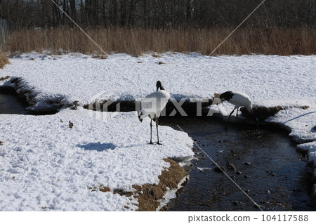 Dandoral起重機 Dandoral起重機 104117588