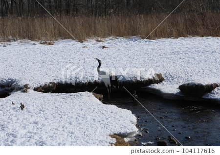 Dandoral起重機 Dandoral起重機 104117616