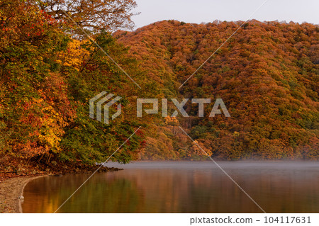 Fall foliage on the shores of Lake Chuzenji at dawn 104117631