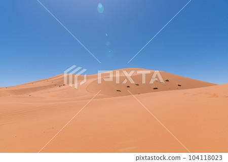 駱駝在摩洛哥撒哈拉沙漠徒步旅行 駱駝在摩洛哥撒哈拉沙漠徒步旅行 104118023