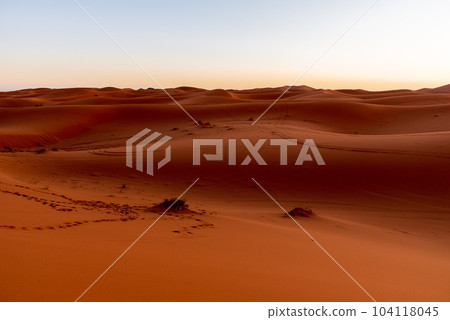 Camel Trekking in Morocco Sahara Desert Camel Trekking in Morocco Sahara Desert 104118045