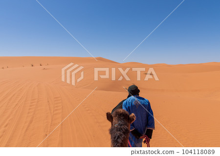 Camel Trekking in Morocco Sahara Desert 104118089