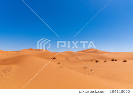 Camel Trekking in Morocco Sahara Desert Camel Trekking in Morocco Sahara Desert 104118090