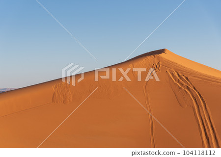 Camel Trekking in Morocco Sahara Desert Camel Trekking in Morocco Sahara Desert 104118112