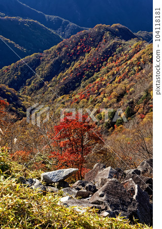 從Oku日光和寺廟山土坎線看見的秋葉山 104118181