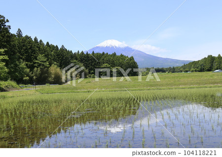 御殿場市的稻田和美麗的富士山 104118221
