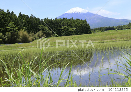 Rice fields and beautiful Mount Fuji from Gotemba city Rice fields and beautiful Mount Fuji from Gotemba city 104118255