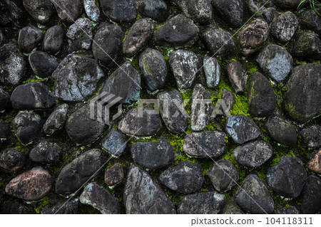 Bright green moss grows on the wall of round stones Bright green moss grows on the wall of round stones 104118311
