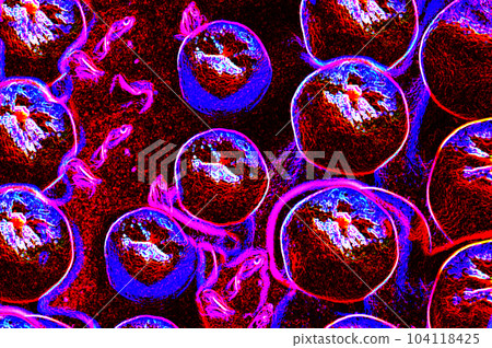 Illustration of a blood cell on a black background, close-up 104118425