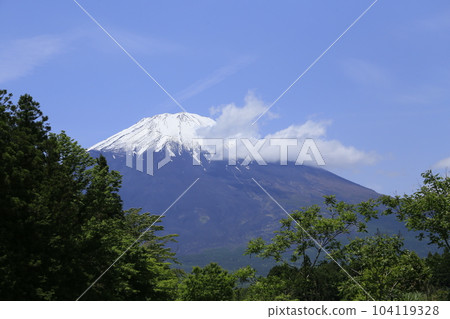 Mount Fuji from Gotemba Mount Fuji from Gotemba 104119328