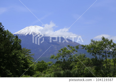 御殿場的富士山 御殿場的富士山 104119387