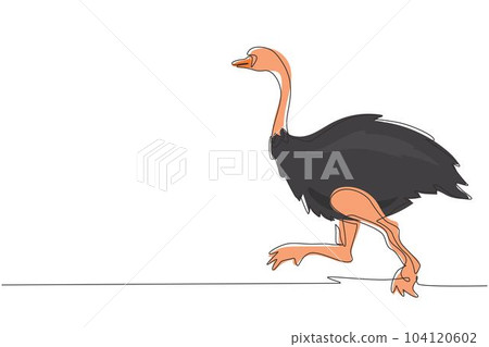 Single continuous line drawing African ostrich walks on the savannah. Zoo. African fauna. Bird, ostrich, camel-bird. Wildlife of Africa. Dynamic one line draw graphic design vector illustration 104120602