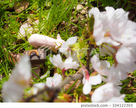 little pigs travel in spring little pigs travel in spring 104122303