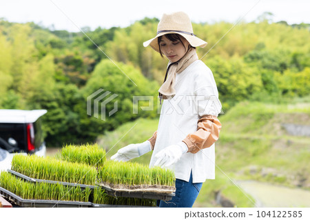 rice field and young woman rice field and young woman 104122585