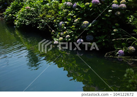 Ono castle town during the rainy season 104122672