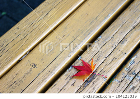 Autumn leaves and benches Autumn leaves and benches 104123039