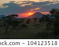 Sunset with red sun acacia trees and mountain. Serengeti National Park Tanzania 104123518