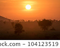 Sunset with red sun acacia trees and mountain. Serengeti National Park Tanzania 104123519