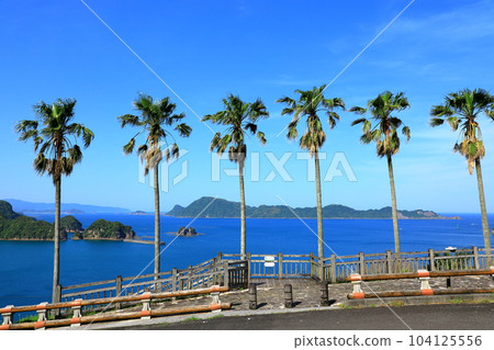 Nichinan Coast, Nango Sea and Phoenix Tree Nichinan Coast, Nango Sea and Phoenix Tree 104125556