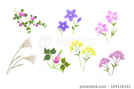 Autumn seven herbs 104126181